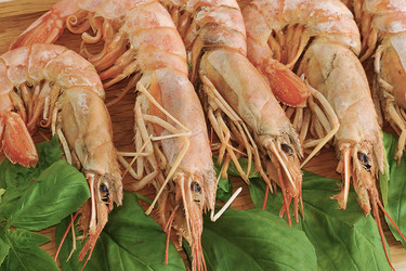 Similar image 12252236