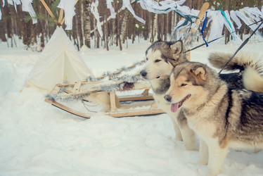 Similar image 12224932