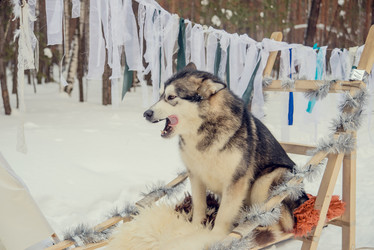 Similar image 12224933