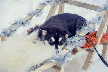 Similar image 12224935