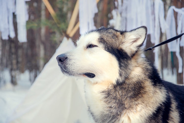 Similar image 12224937