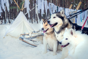 Similar image 12224938