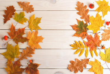 Similar image 12252228