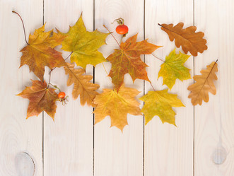 Similar image 12252124