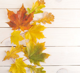 Similar image 12252206