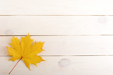 Similar image 12252369