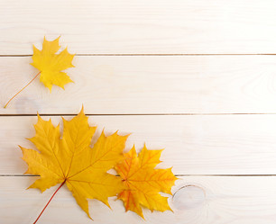 Similar image 12252370