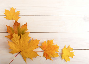 Similar image 12252371