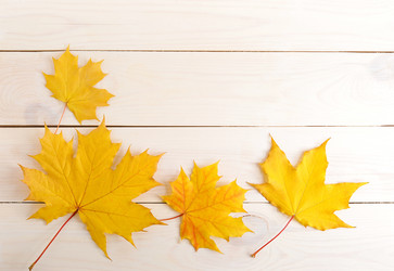 Similar image 12252372