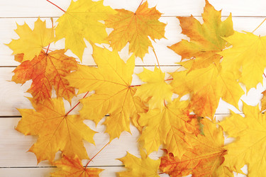 Similar image 12252289