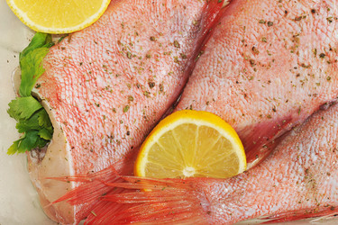 Similar image 12350087