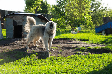 Similar image 12225051