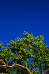 Similar image 12225052