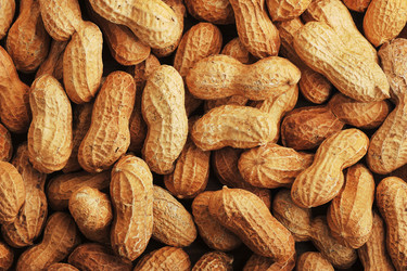 Similar image 12350114