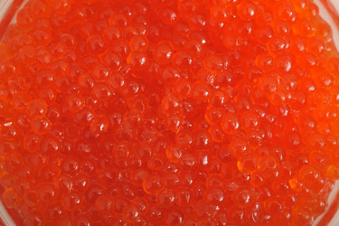 Similar image 12350188