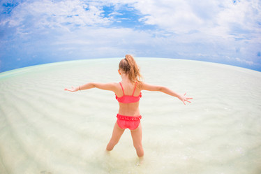 Similar image 12251446