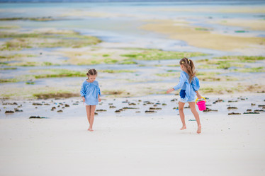 Similar image 12251449