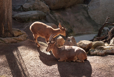 Similar image 12350470