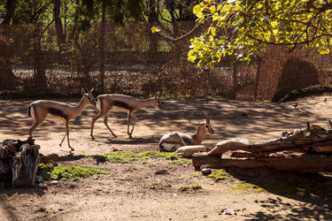 Similar image 12343317