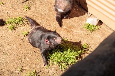 Similar image 12343318