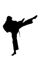 Similar image 12224839