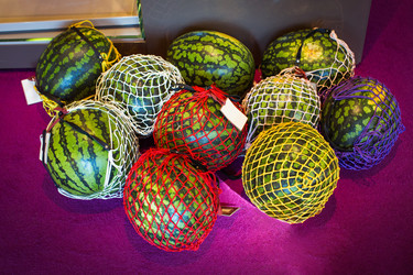 Similar image 12225638