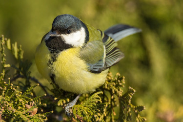 Similar image 12224764