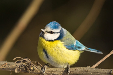 Similar image 12224765