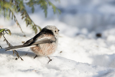 Similar image 12224767