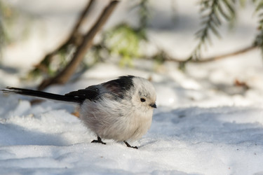 Similar image 12224768