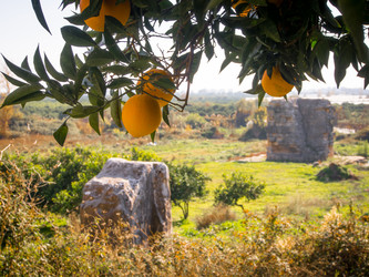 Similar image 12226153