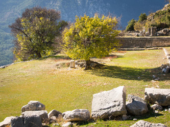 Similar image 12226154