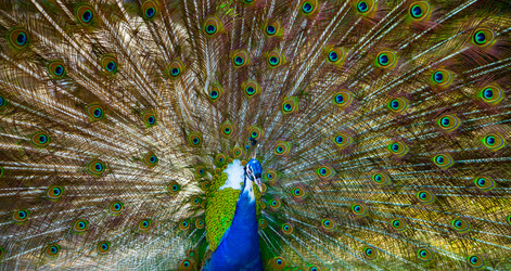 Similar image 12225476