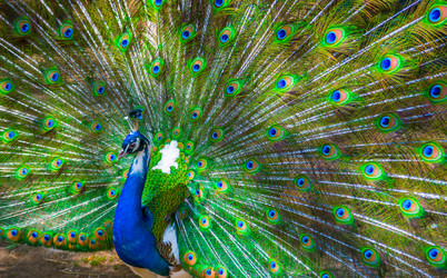 Similar image 12225477