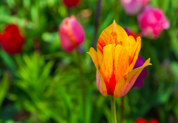 Similar image 12225480