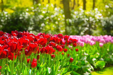 Similar image 12225482