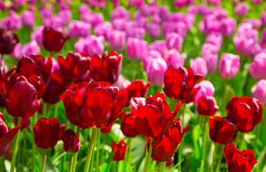 Similar image 12225483