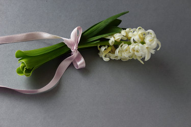 Similar image 12224805