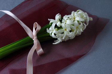 Similar image 12224807