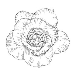 Similar image 12227301