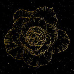 Similar image 12227303