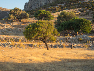 Similar image 12226134