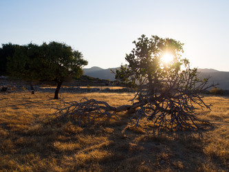 Similar image 12226136