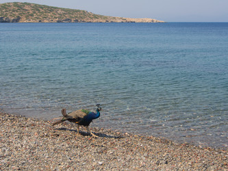 Similar image 12226137