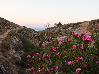 Similar image 12226138