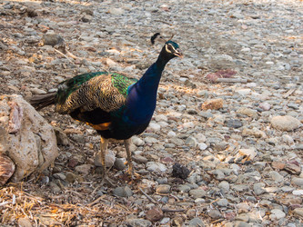 Similar image 12226139