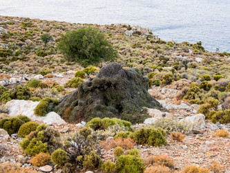 Similar image 12226160