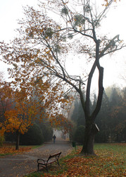 Similar image 12225433