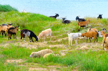 Similar image 12252708