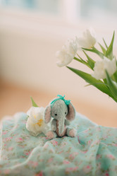 Similar image 12225462